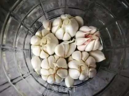 Make Pickle garlic step 9
