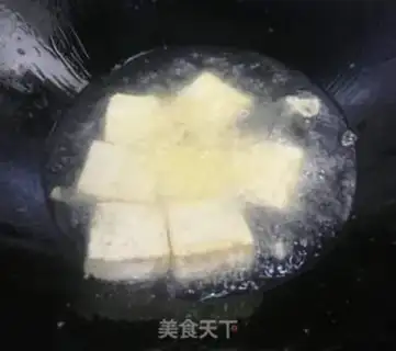 Make Frozen tofu step 2