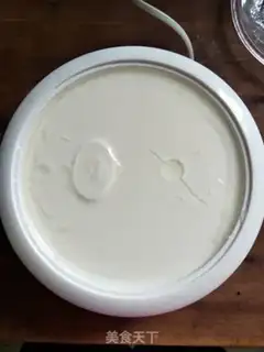 Make Homemade yogurt step 4