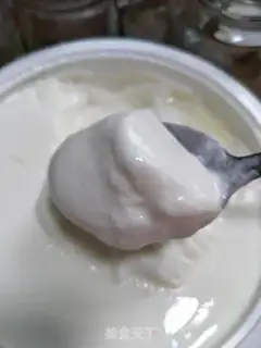 Make Homemade yogurt step 6