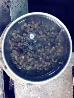 Make Snail chicken step 0