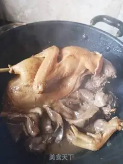 Make Home version of halogen duck step 4