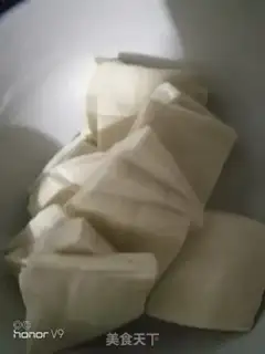 Make Dinosaur tofu soup step 0