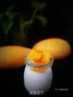 Make Homemade yogurt step 12