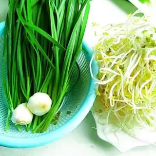 Make Bean sprouts step 0
