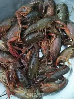 Make Spicy lobster step 1