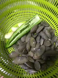 Make Fried Armour step 0