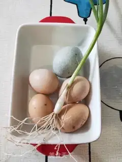 Make Three-coloured eggs step 0