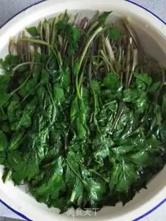 Make Serpentine step 4
