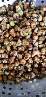 Make Hot snails step 0