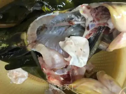 Make A stingy fish with bean petals step 0