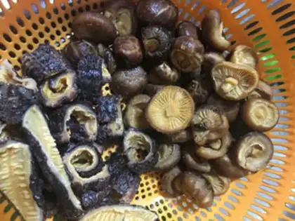 Make Plum with mushrooms and cucumbers step 1