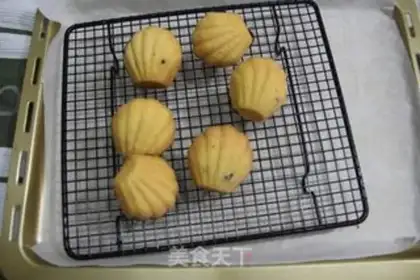Make Blueberry Madeleine step 13