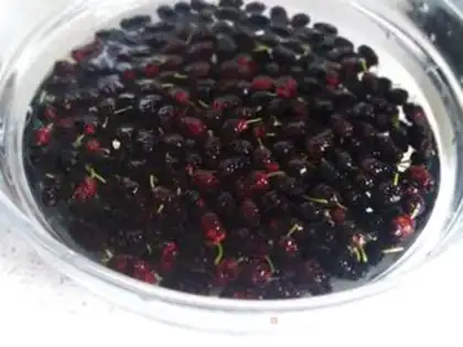 Make Sancho jam step 0