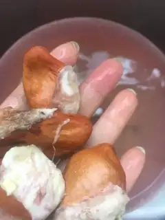 Make Grenade corn juice step 1