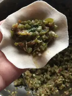 Make Four seasons of bean pork dumplings step 6