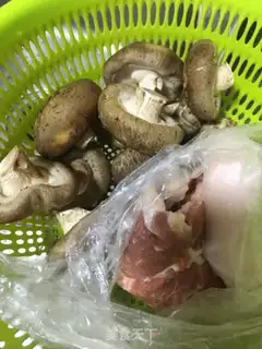 Make A mushroom step 0