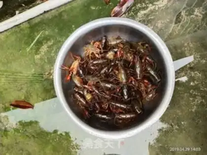 Make Spicy lobster step 0