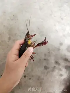 Make Spicy lobster step 1