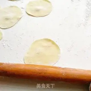 Make Pork dumplings step 9