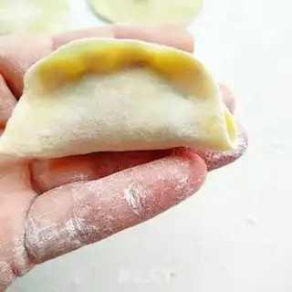 Make Pork dumplings step 11