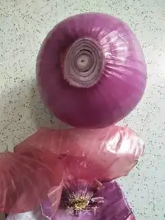 Make Onion-mixed eggs step 4