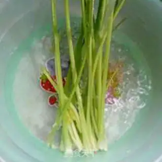 Make Shrimp celery step 3