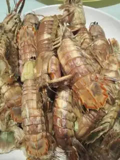 Make Shrimp step 8