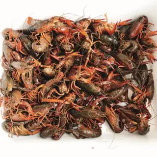 Make Garlic lobster step 0