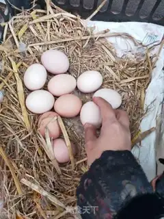 Make Scrambled eggs step 0