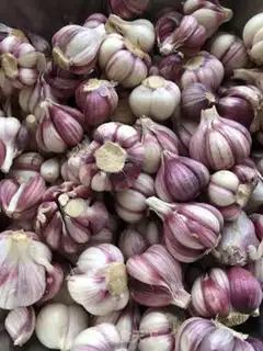 Make Pickle garlic step 0