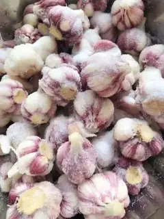 Make Pickle garlic step 4