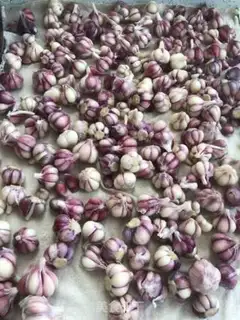 Make Pickle garlic step 5