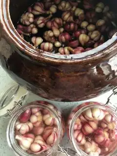 Make Pickle garlic step 11