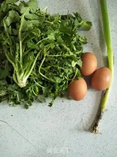 Make Fried eggs step 0