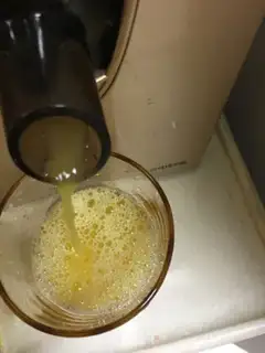 Make Watermelon juice step 2