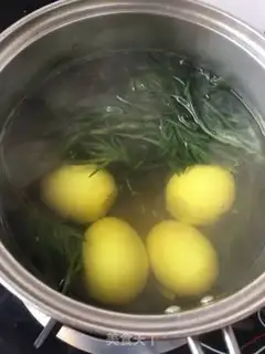 Make Wildie makes eggs step 10