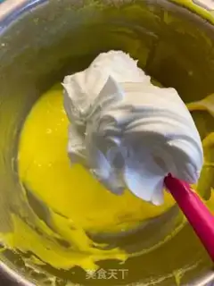 Make Net suveres step 8
