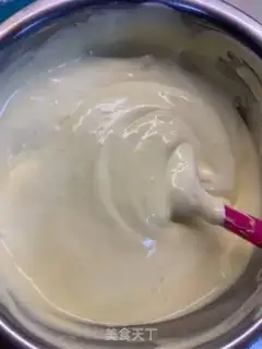 Make Net suveres step 10
