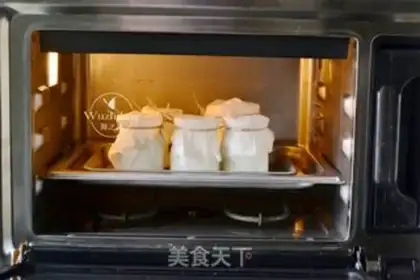 Make Homemade yogurt step 4