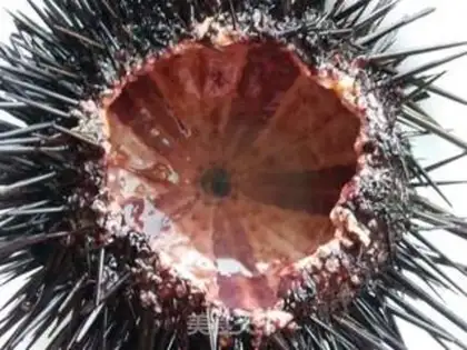 Make Sea urchins step 2