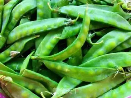 Make Garlic Dutch beans step 0