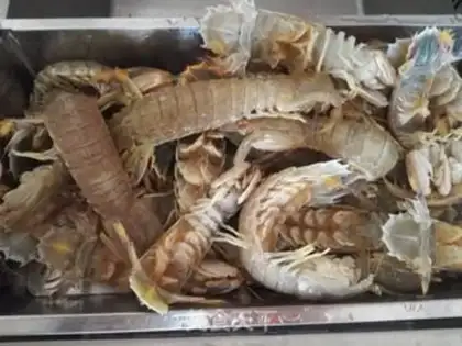 Make Shrimp step 2