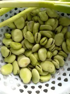 Make The greasy beans step 0