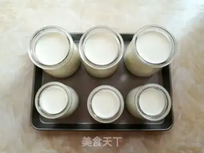 Make Sugar-free yogurt step 4