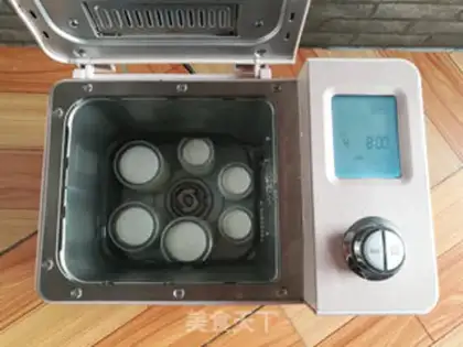 Make Sugar-free yogurt step 5