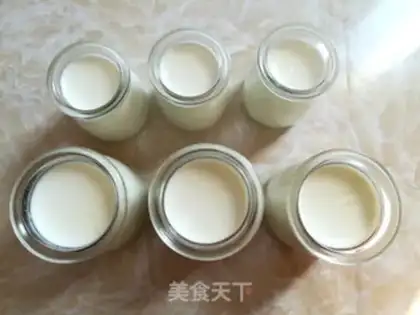 Make Sugar-free yogurt step 6