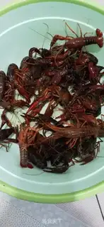Make Spicy lobster step 0