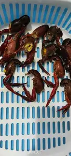 Make Spicy lobster step 1