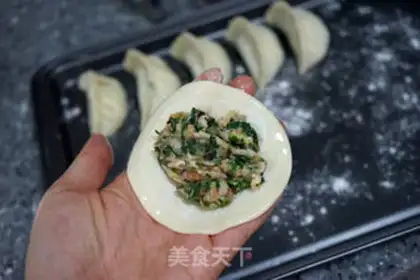 Make The dumplings step 11
